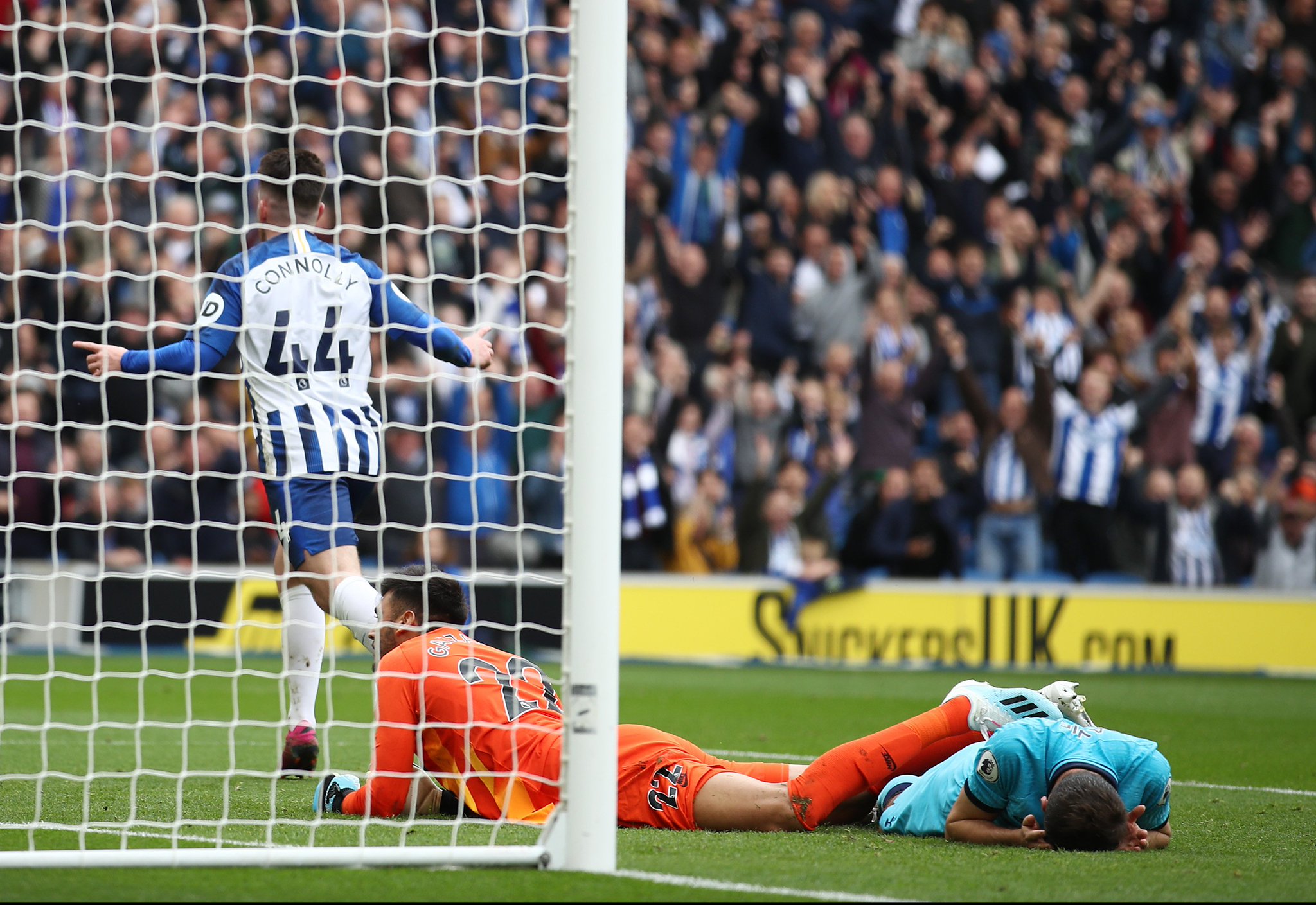 的快速应变 的快速应变