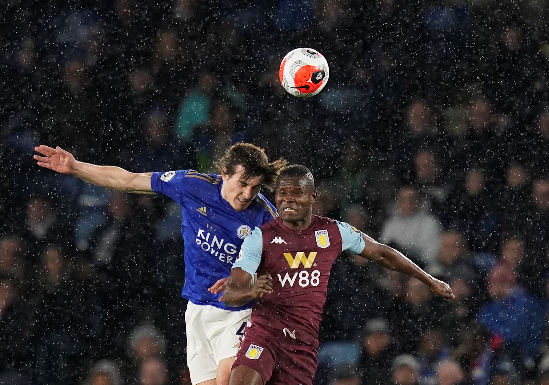 不仅展示了 不仅展示了